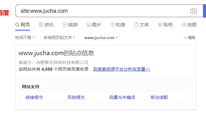 搜索引擎收录怎么查询？查询网站收录查询情况